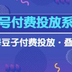 （10111期）视频号付费投放系统果，视频号豆子付费投放·叠投打法（高清视频课）