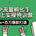 自然IP流量孵化手14天线上实操特训营【第9期】月入5w+百万爆款打造 (74节)