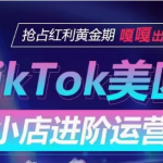 TikTok Shop美区小店进阶运营，快速掌握各流量渠道玩法，抢占红利黄金期，嘎嘎出单