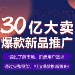 亚马逊·30亿大卖爆款新品推广，可复制、全程案例实操的爆款推新SOP