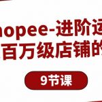 （10083期）Shopee-进阶运营：打造百万级店铺的技巧（9节课）