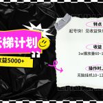 （10063期）最新网易云梯计划网页版，单机月收益5000+！可放大操作