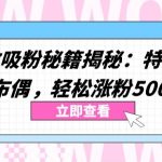 两个高效吸粉秘籍揭秘：特效加持与神奇布偶，轻松涨粉5000+