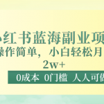 0成本0门槛小红书蓝海副业项目，操作简单，小白轻松月入2W