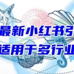 2024最新小红书引流，适用于任何行业，小白也可以轻松的打粉