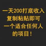 一天200打底收入，复制粘贴即可，一个适合任何人的项目！