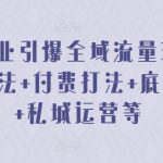 2024美业引爆全域流量玩法，素材打法 付费打法 底层逻辑 私城运营等