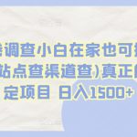 国外问卷调查小白在家也可批量操作(口子查站点查渠道查)真正的长久稳定项目 日入1500+