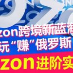 ozon跨境新蓝海玩“赚”俄罗斯，ozon进阶实操训练营