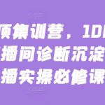 主播登顶集训营，10000+全类目直播间诊断沉淀出的直播实操必修课