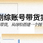 图书剧综账号带货实战课，0基础极速带货，从0到1搭建一个图书剧综账号