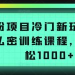 男粉项目冷门新玩法，售卖私密训练课程，一天轻松1000+