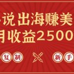 小说出海赚美金，稿费月收益2500+美金，仅需chatgpt粘贴复制，新手也能玩转