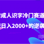 探索成人识字冷门赛道，实现日入2000+的逆袭人生！