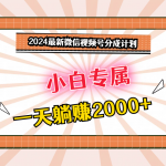 2024最新微信视频号分成计划，对新人友好，一天躺赚2000+