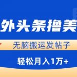 海外头条撸美金，无脑搬运发帖子，月入1万+，小白轻松掌握