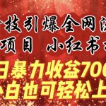 蓝海项目!黑科技引爆全网流量小红书拉新，单日暴力收益7000+，小白也能轻松上手