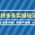 2024拼多多实操玩法合集【0-1全流程详解】照葫芦画瓢（9节课）