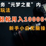 抖音任务“元梦之星”内部最新玩法，新手小白无脑操作，轻松月入10000+