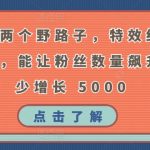 掌握这两个野路子，特效结合神奇布偶，能让粉丝数量飙升，至少增长 5000