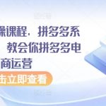 拼多多实操课程，拼多多系统从0到1，教会你拼多多电商运营