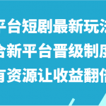 全平台短剧最新玩法，结合新平台晋级制度和独有资源让收益翻倍！