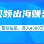 短视频出海赚美金，复制粘贴批量操作，小白轻松掌握，月入4500美刀