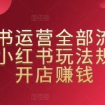 小红书运营全部流程，掌握小红书玩法规则，开店赚钱