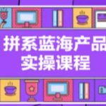 拼系冷门蓝海产品实操课程，从注册店铺到选品上架到流量维护环环相扣