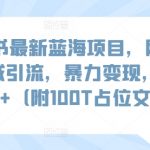 小红书最新蓝海项目，网盘扩容私域引流，暴力变现，日入1000+（附100T占位文件）