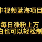 中视频蓝海项目，解读英雄人物生平，每日涨粉上万，小白也可以轻松制作，月入过万