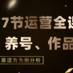 7节小红书运营实战全教程，结合最新情感赛道，打通小红书运营全流程