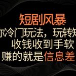 短剧风暴，教你冷门玩法，玩转短剧，收钱收到手软