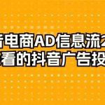 抖音电商AD信息流28式，小白必看的抖音广告投放课程（29节课）