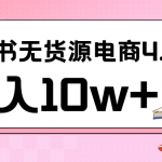 小红书新电商实战 无货源实操从0到1月入10w+ 联合抖音放大收益