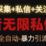 抖音无限私信机！采集+私信+关注，全自动暴力引流！