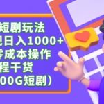 最新短剧玩法，暴力变现轻松日入1000+，私域零成本操作，全程干货（附1400G短剧资源）