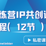 导师训练营3.0IP共创训练营私密实操课程（12节）-卖项目的密码成功秘诀