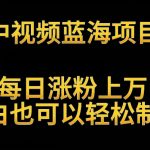 中视频蓝海项目，解读英雄人物生平，每日涨粉上万，小白也可以轻松制作，月入过万不是梦