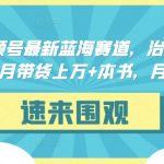 抖音&视频号最新蓝海赛道，治愈书籍带货，一个月带货上万+本书，月入2万＋