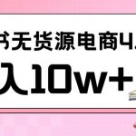 小红书新电商实战，无货源实操从0到1月入10w+联合抖音放大收益