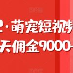 东哲日记·萌宠短视频带货，2天佣金9000+