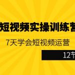 视频号短视频实操训练营第5期：7天学会短视频运营（12节课）