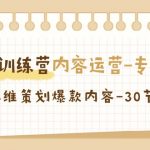 流量训练营之内容运营专项课，用流量思维策划爆款内容（30节课）