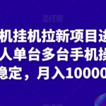 苹果手机挂机拉新项目进阶版模式，单人单台多台手机操作长期稳定，月入10000+