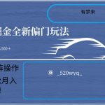 2024抖音全新掘金玩法5.0，小白在家就能轻松日入500＋，支持矩阵操作