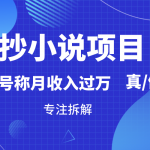 抄小说项目，号称月入过万，到底是否真实，能不能做，详细拆解