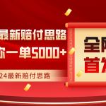 全网首发，2024最新某音赔付思路，号称一单收益5000+