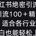 小红书绝密引流术，一天引流100+精准流量，适合各个行业，小白也能轻松上手