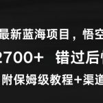 2024年最新蓝海项目，悟空网盘拉新，日入2700+错过后悔一年【附保姆级教程+渠道】